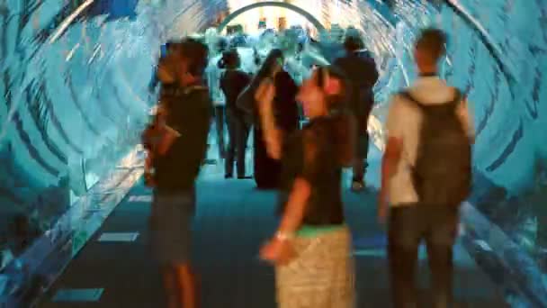 水族馆在购物中心 世界上最大的购物中心 迪拜哈利法塔市中心 阿拉伯联合酋长国在隧道中延时 — 图库视频影像
