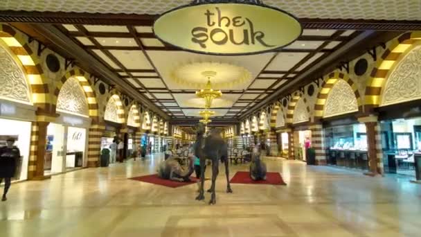 Dubai United Arab Emirates Gold Souq Camels Dubai Mall Worlds — Stockvideo
