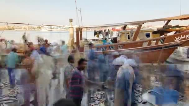 Meeresfrüchte Auf Dem Fischmarkt Emirat Ajman Zeitraffer Fischer Verkaufen Viele — Stockvideo