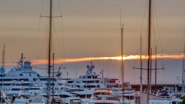 Чудовий Схід Сонця Над Гаванню Монако Розкішні Яхти Освітлюються Ранковим — стокове відео