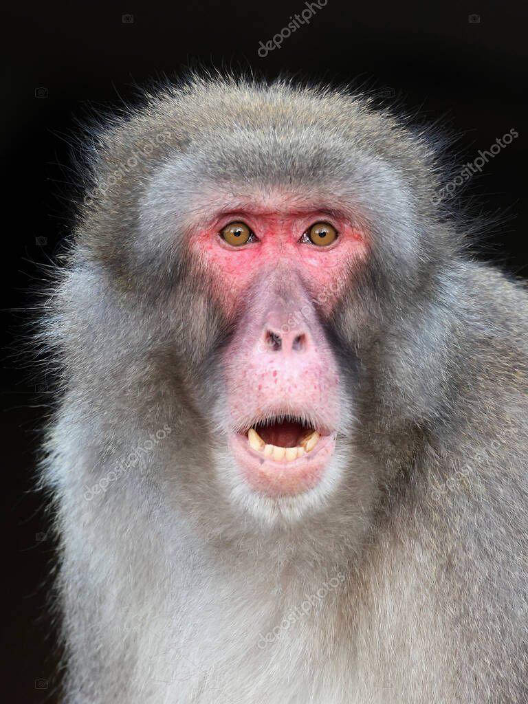 Francesca Jeymsning turli lavozimlarda uyatsiz jinsiy aloqasi