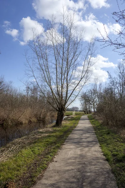 Ankeveense Plassen Rezerwat Przyrody Holandii — Zdjęcie stockowe