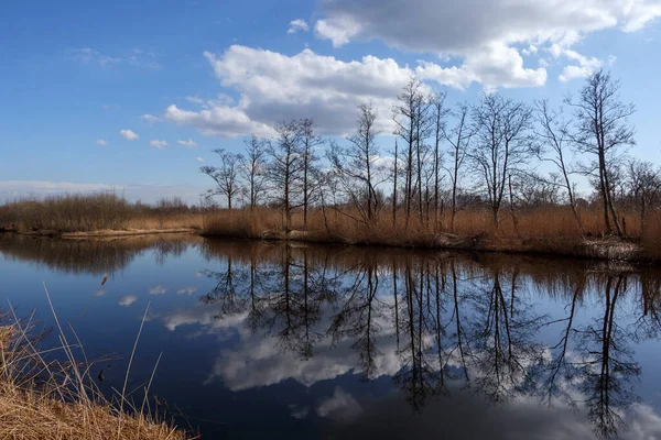 Ankeveense Plassen Nature Reserve Netherlands — Stock Photo, Image