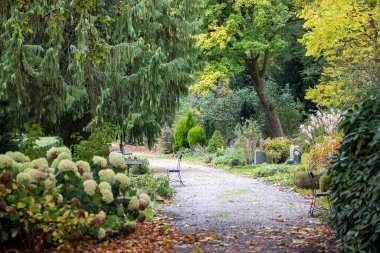 Bir patikası olan güzel sonbahar mezarlığının gündüz çekimi.