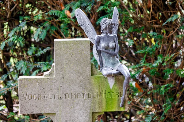 Крупный План Статуи Ангела Кладбище — стоковое фото