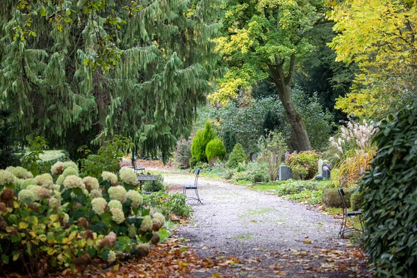 Dag Opname Van Prachtige Herfst Begraafplaats Met Een Pad — Stockfoto