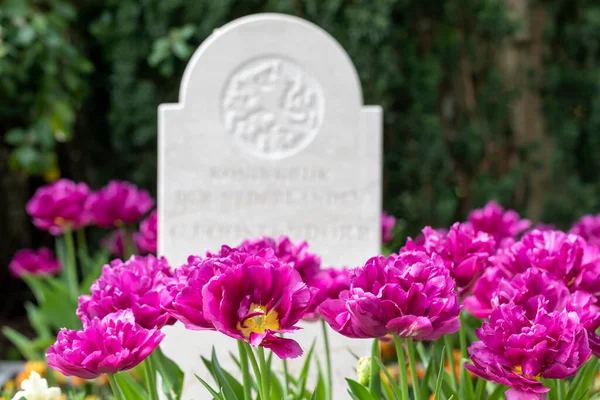 Standbeeld Van Een Prachtige Marmeren Steen Tuin Het Park Het — Stockfoto