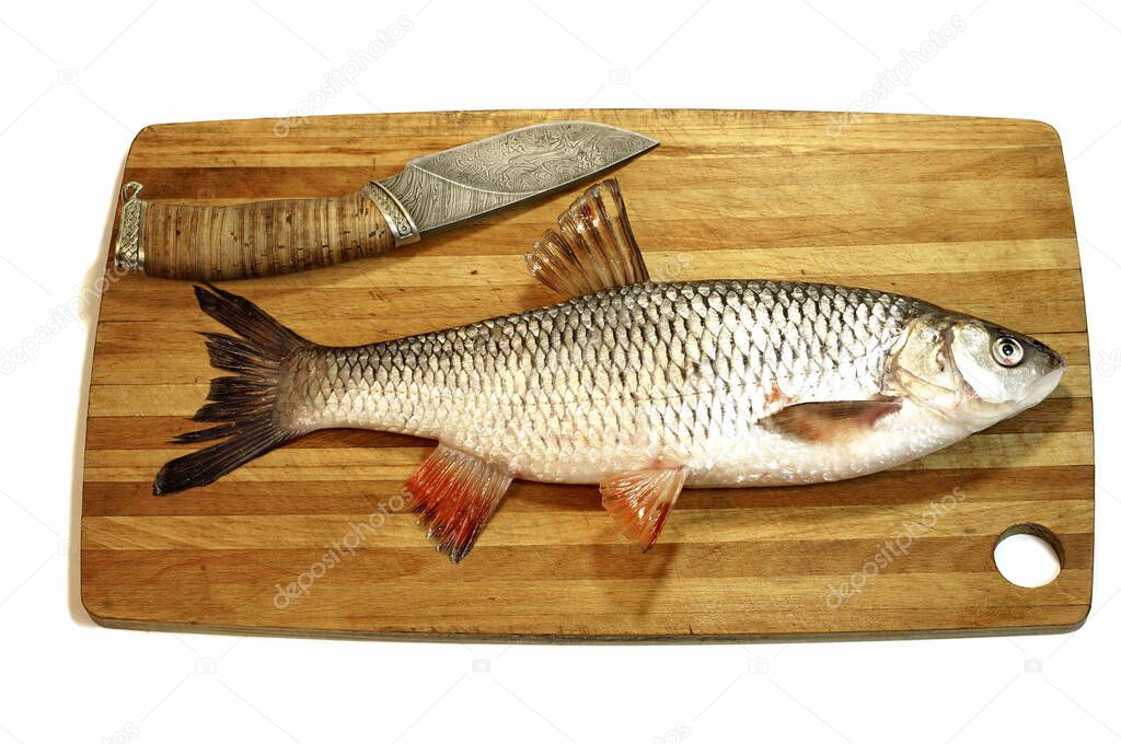 In the photo there is fish on a cutting board. The ide (Leuciscus idus), or orfe, is a freshwater fish of the family Cyprinidae found in larger rivers, ponds, and lakes across Northern Europe and Asia.