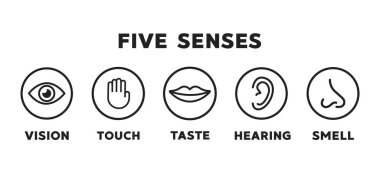 Beş duyu vektör simgesi ayarlandı. vizyon, işitme, dokunma, tat, koku