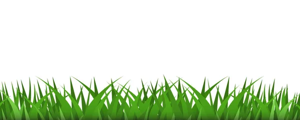Grasgrenzpflanze Vektorillustration — Stockvektor