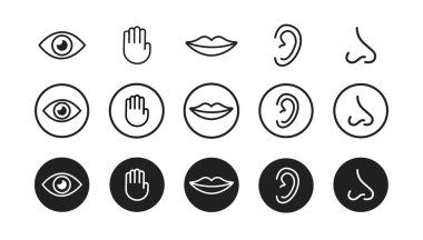 Beş duyu vektör simgesi ayarlandı. vizyon, işitme, dokunma, tat, koku