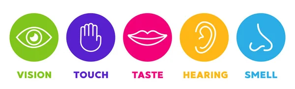 Five Senses Vector Icons Set Vision Hearing Touch Taste Smell — Stock Vector