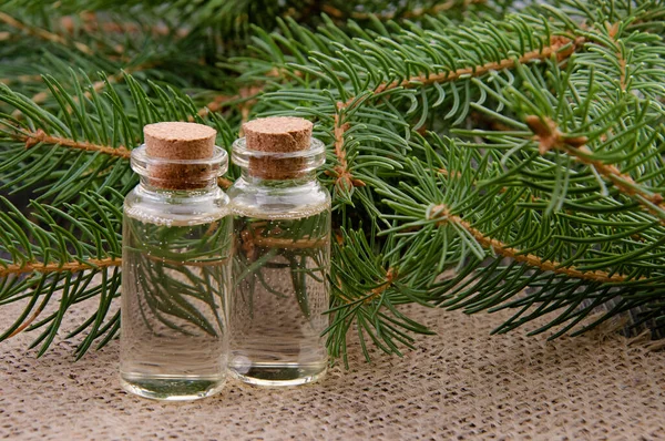 Two Bottles Spruce Essential Oil Fir Branches Linen Napkin — Stock Photo, Image