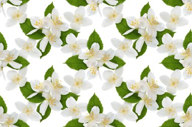 Yasemin çiçekleri ve beyaz yapraklarla kusursuz tekrarlanan desenler. Çiçek arka planı.