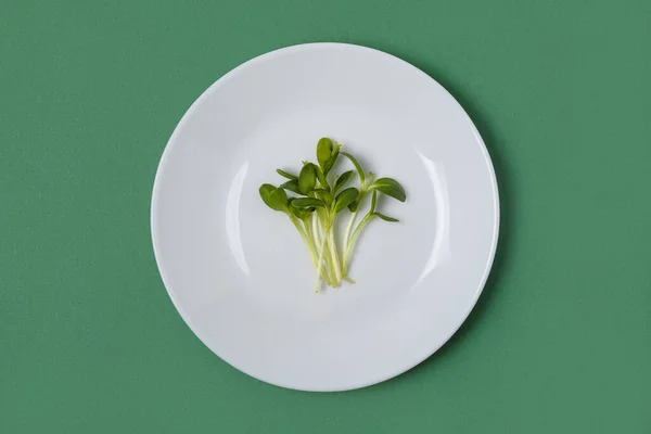 초록빛 해바라기가 보이는 접시에 콩나물이다 건강에 — 스톡 사진