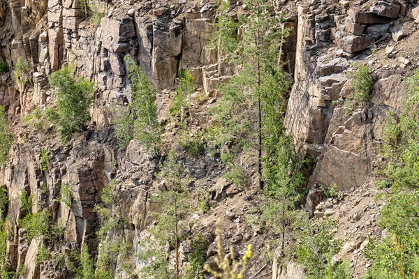 Taş ocağının yamacında ağaçlarla kaplı keskin taşlar var. Terk edilmiş granit ocağı.