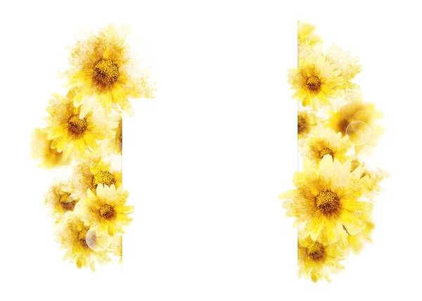 Gelbe Blumen Vertikaler Rand Auf Weißem Hintergrund Kopierraum Aquarell Stil — Stockfoto