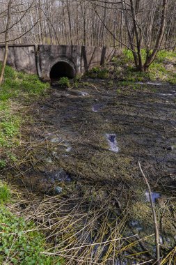 Kurumuş ve kirlenmiş nehir yatağı ve ormandaki eski taş köprü.