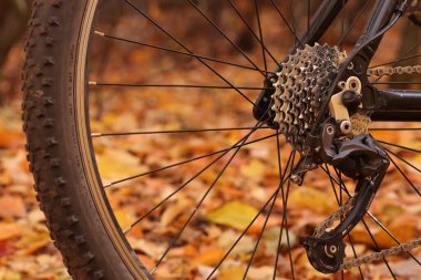 Bisiklet arka vites değiştirme mekanizması. Bir sonbahar manzarasının arka planında bisiklet sürmek. 