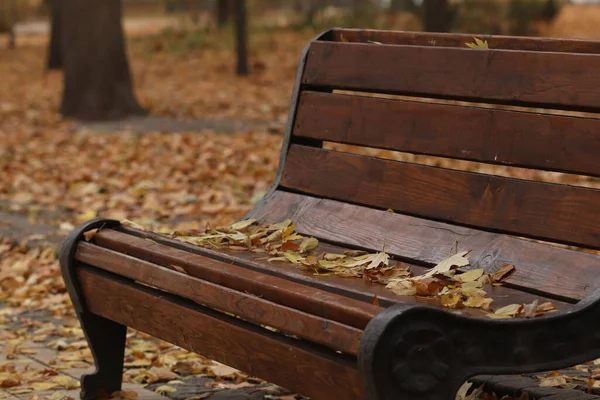 Laub Auf Der Bank Laub Von Bäumen Fiel Herbstpark Auf — Stockfoto