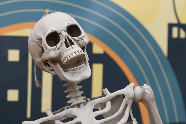 Csontváz Koponyája Nevet Nevető Csontváz Halloween Dekoráció — Stock Fotó