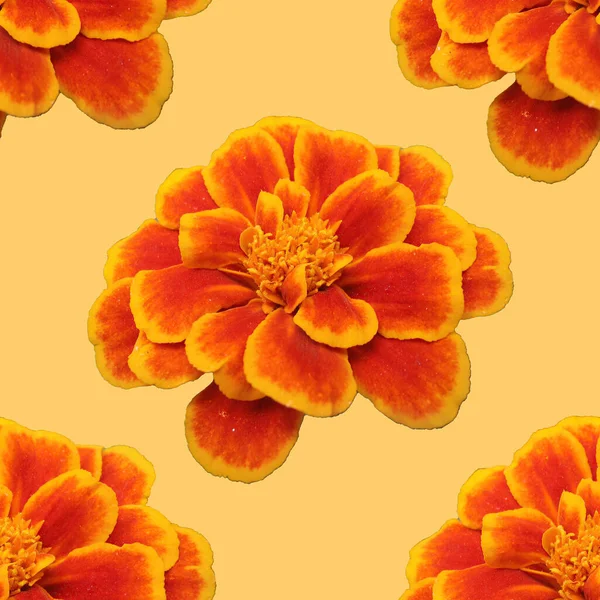 Nahtloses Muster Aus Orangefarbenen Monotonen Blüten Orangenblüte — Stockfoto