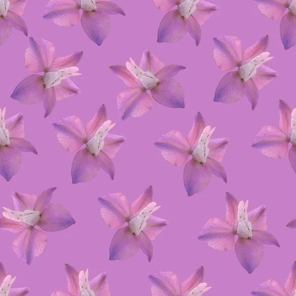 紫色的花无缝图案 紫色的花 — 图库照片