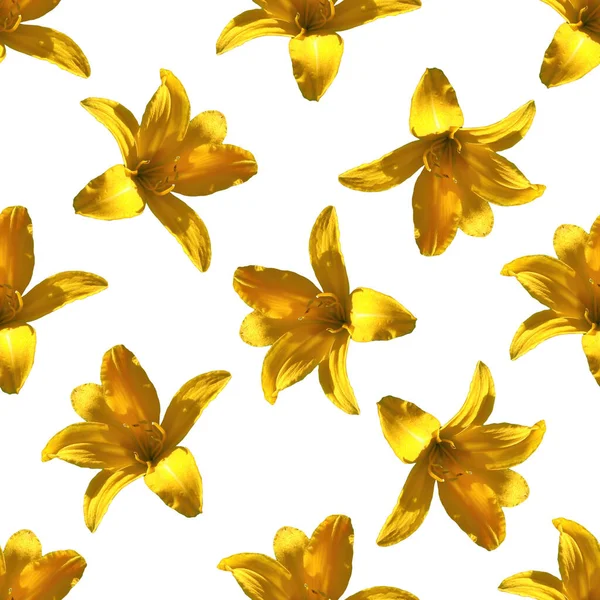 Żółty Kwiat Bezszwowy Wzór Żółty Kwiat — Zdjęcie stockowe
