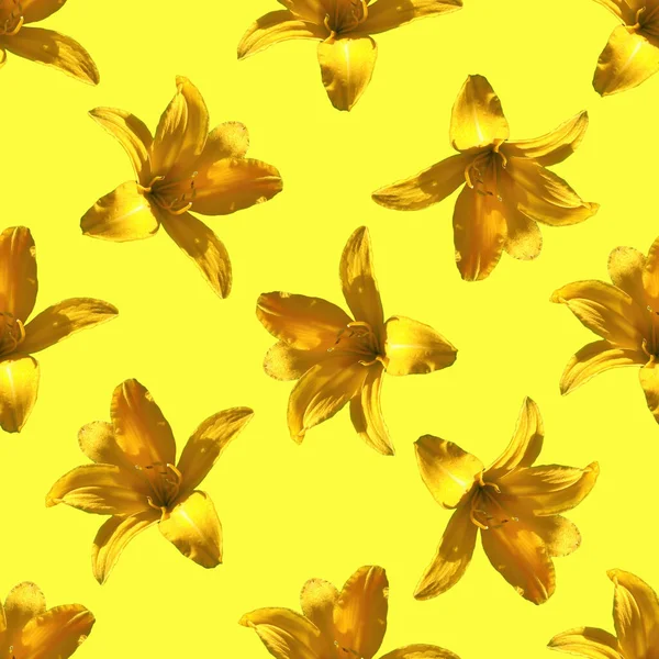 Yellow Flower Seamless Pattern Yellow Flower — Stock Photo, Image