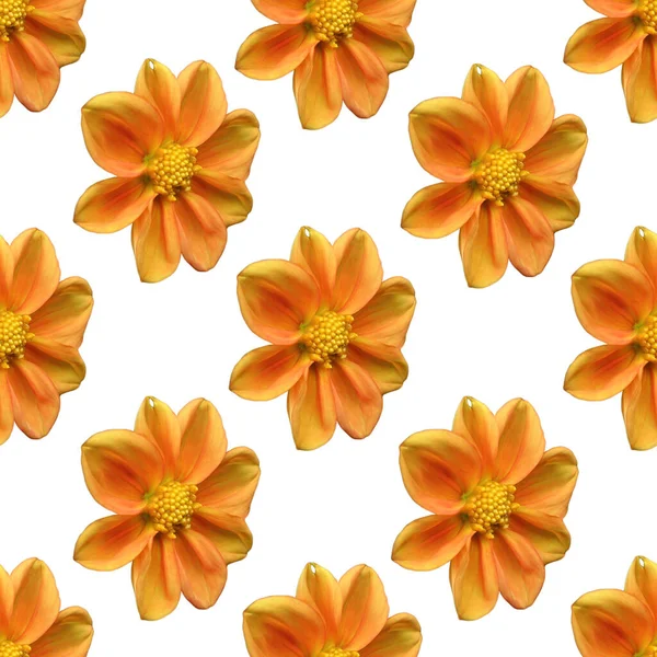 Orange Dahlia Blomma Sömlöst Mönster Brinnande Apelsinblomma — Stockfoto