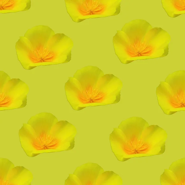 Gelbe Blume Nahtloses Muster Gelbe Blütenstruktur — Stockfoto