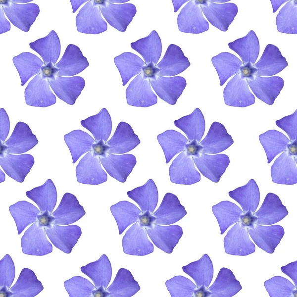 ブルーの花のシームレスなパターンをPerwinkle 青いスイレンの花 — ストック写真