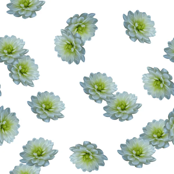 Bílá Dahlia Květiny Bezešvé Vzor Krásné Bílé Květy Dahlia — Stock fotografie