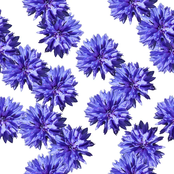 Korenbloem Blauwe Bloemen Naadloos Patroon Mooie Blauwe Bloemen Korenbloem — Stockfoto