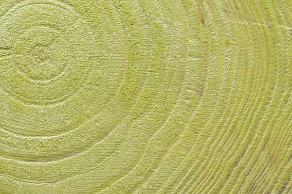 Struttura Legno Verniciato Verde Texture Legno Viola — Foto Stock