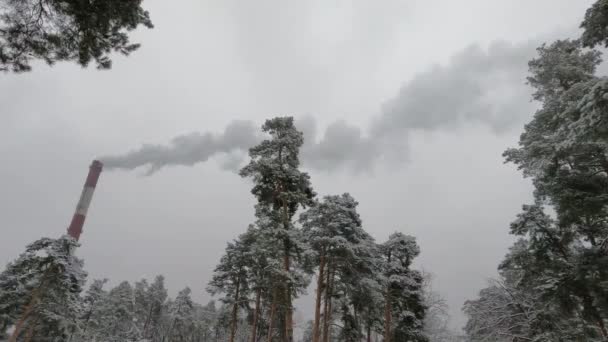 Chimenea Humo Industria Sobre Bosque Invierno Contaminación Ambiental — Vídeo de stock