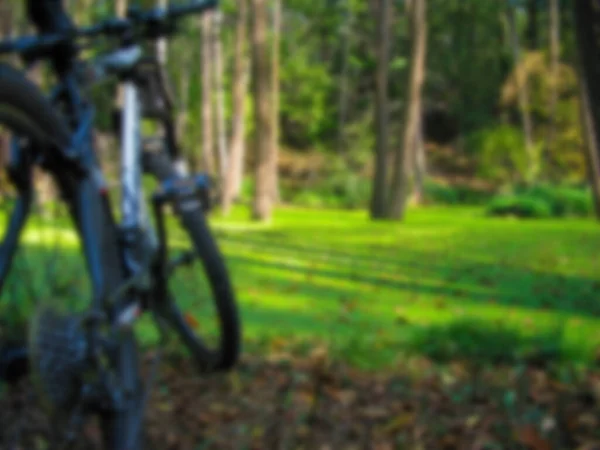 ぼやけた写真 沼の風景の背景に自転車 自転車旅行 — ストック写真