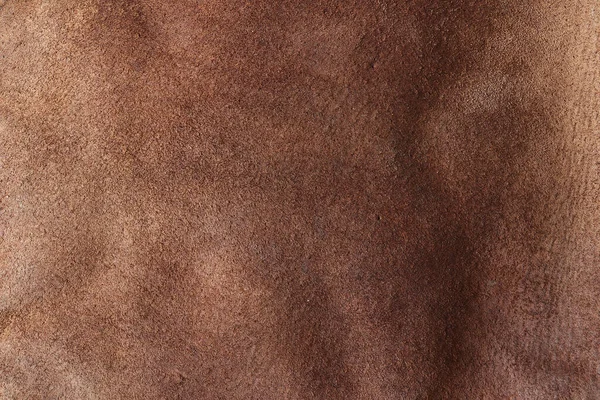 Mink Skin Texture Brown Leather Texture — Stock Photo, Image