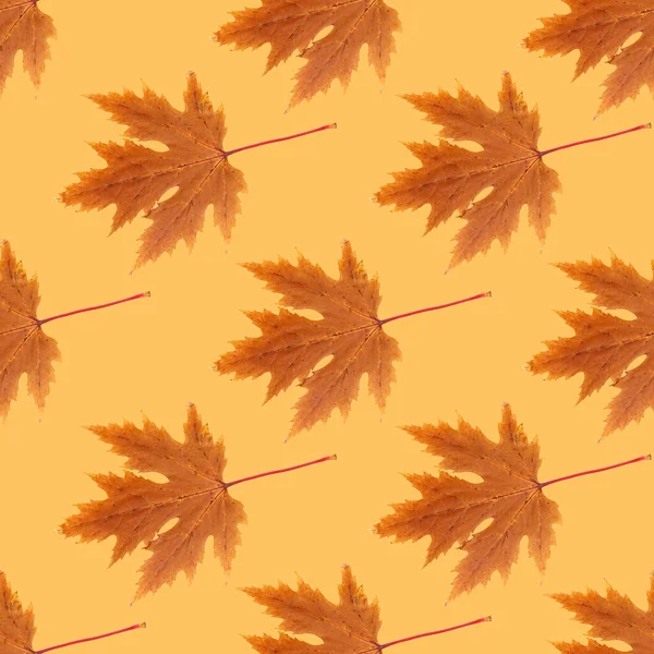 Seamless Texture Autumn Leaves Autumn Leaves — Stock Photo, Image