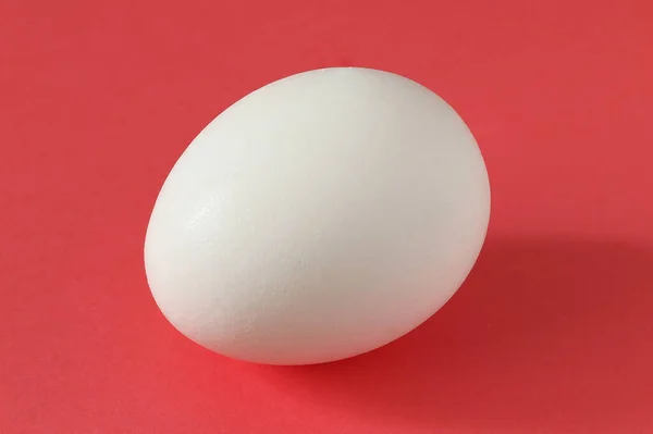 色のついた紙に白い鶏の卵 イースターチキンの卵 — ストック写真