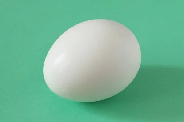 Renkli Kağıda Beyaz Tavuk Yumurtası Paskalya Tavuğu Yumurtası — Stok fotoğraf