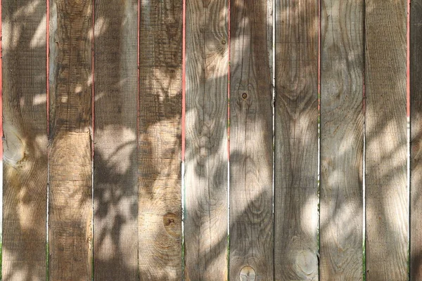 Texture Old Darkened Wood Fence Tree Old — Stock Photo, Image