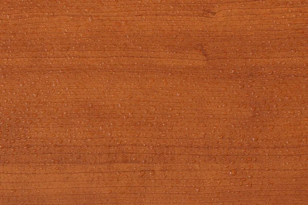 Water Droplets Wood Texture Decorative Wood Texture Water Drops — Stok Foto