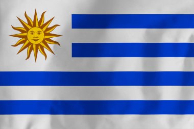 Uruguay bayrağı. Uruguay bayrağı birçok yönden Arjantin bayrağına benzer..