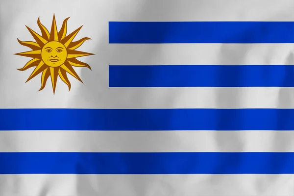 Uruguays Flag Uruguays Flag Ligner Argentinas Flag Mange Måder - Stock-foto