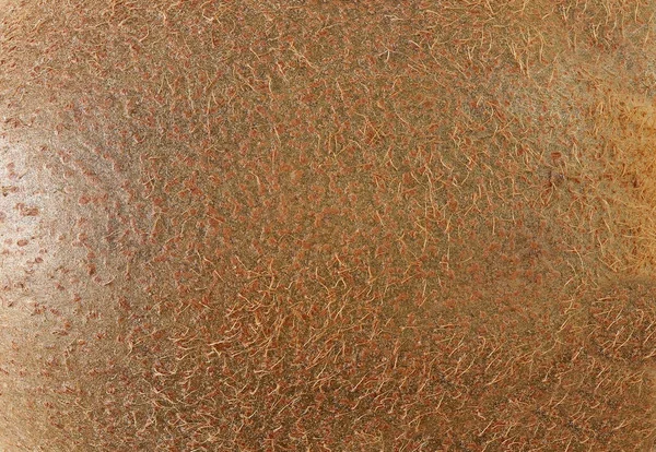 Texture Buccia Kiwi Scorza Kiwi Primo Piano — Foto Stock