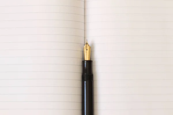 这支钢笔在一张纸上 一本展开的笔记本 上面有一支墨水笔 — 图库照片