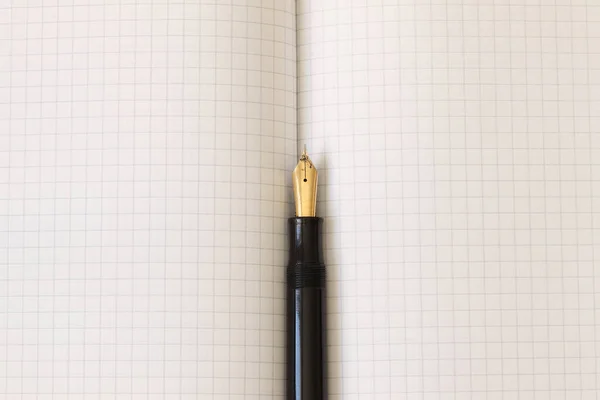 Pluma Está Una Hoja Papel Cuaderno Desplegado Con Bolígrafo Tinta — Foto de Stock