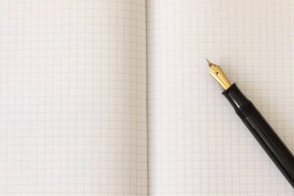 这支钢笔在一张纸上 一本展开的笔记本 上面有一支墨水笔 — 图库照片