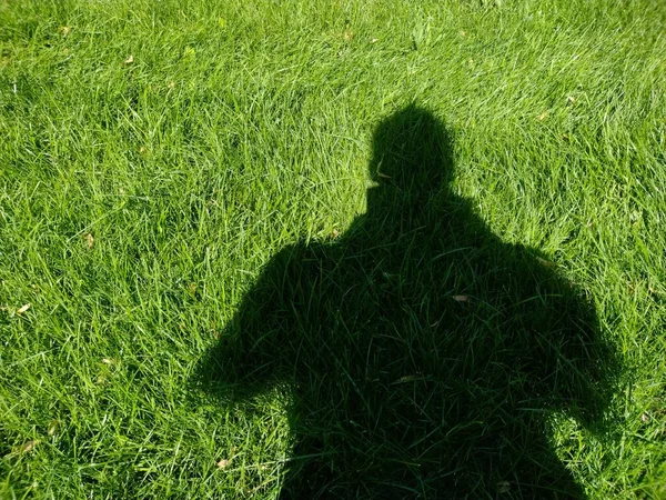 The shadow of a man on the green grass